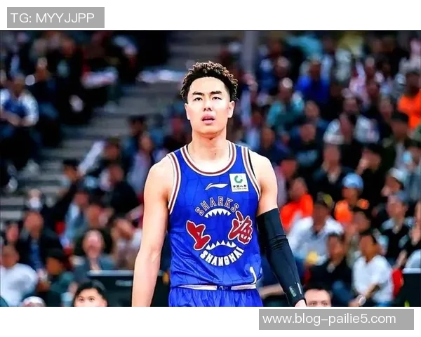 李添荣的奋斗历程与成就探索：从平凡到卓越的励志故事