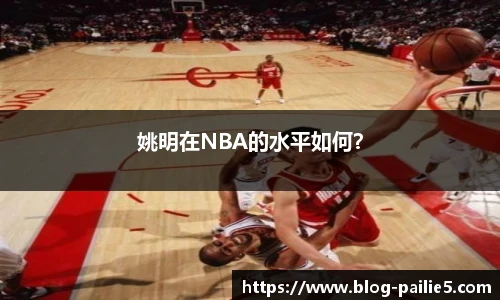 姚明在NBA的水平如何？